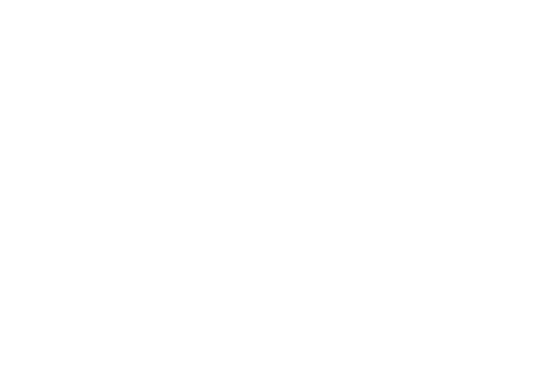 wicked wolf gin